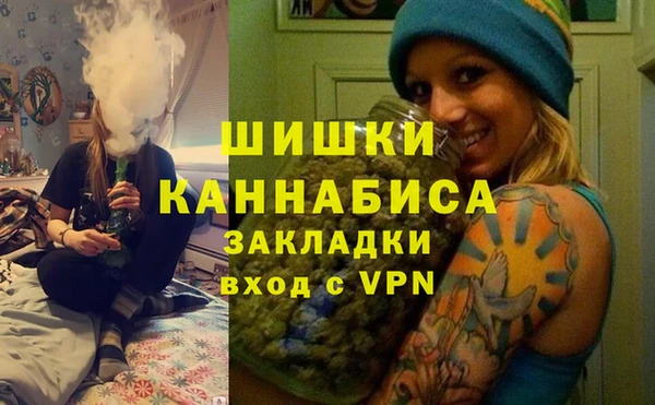 соль ск Краснослободск