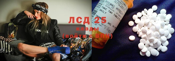 соль ск Краснослободск